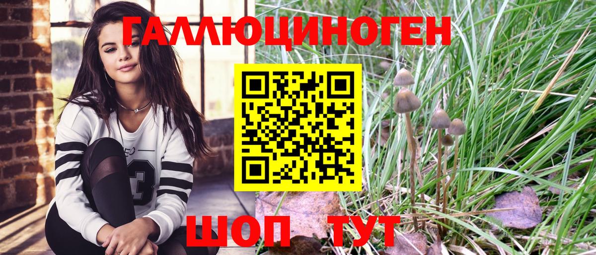 Псилоцибиновые грибы Magic Shrooms Котлас